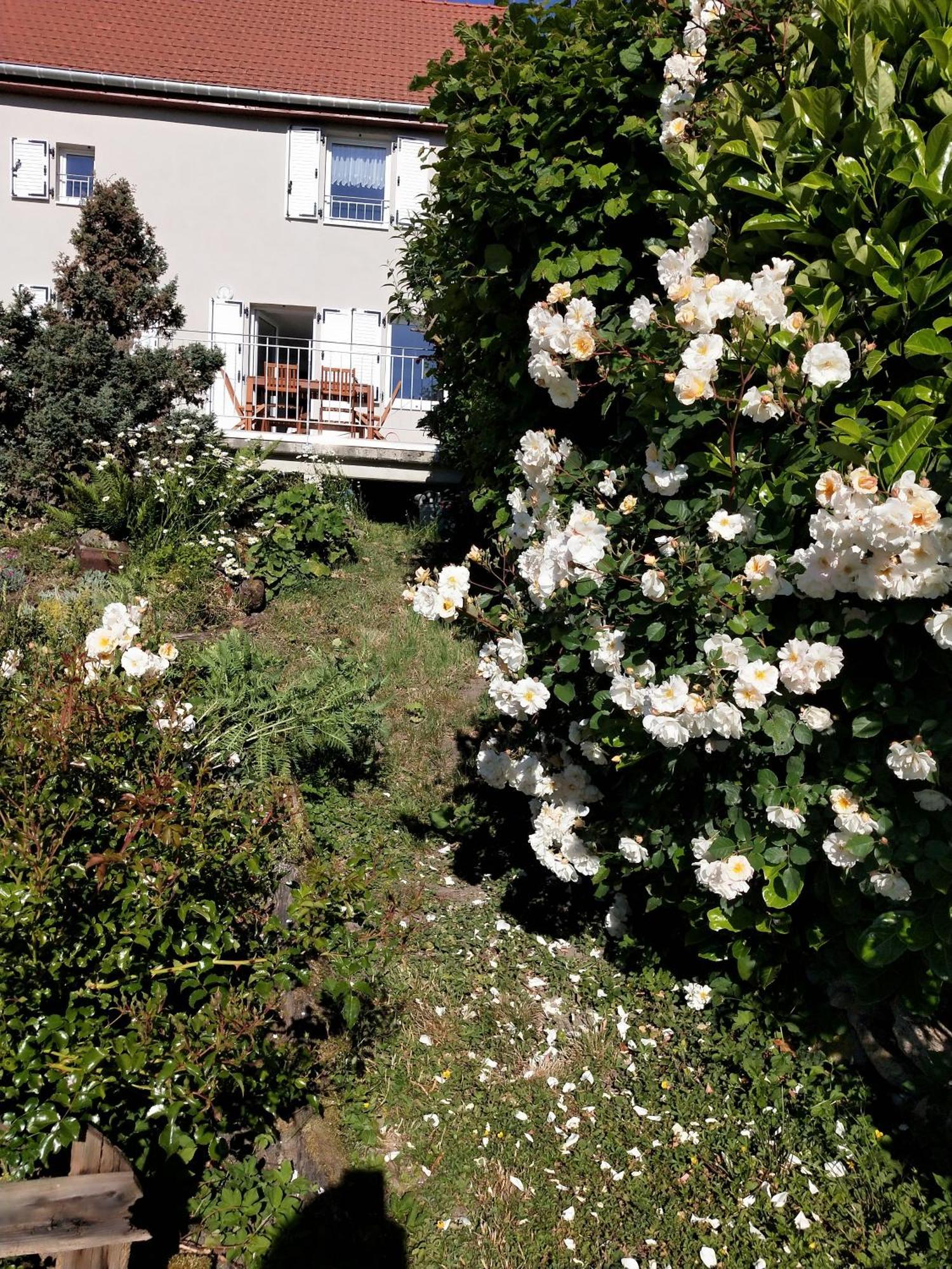 Ferienhaus Les Papillons Bining